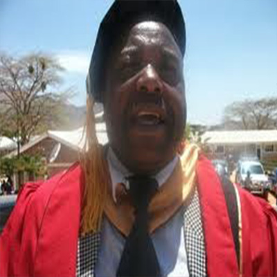 Disney International Consultancy